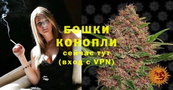 крисы Вяземский