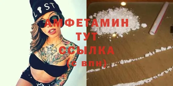 гидра Вязьма