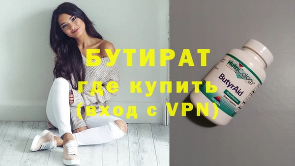 гидра Вязьма
