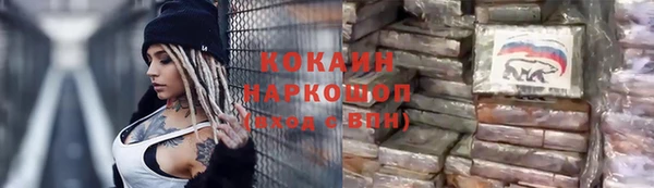 гидра Вязьма