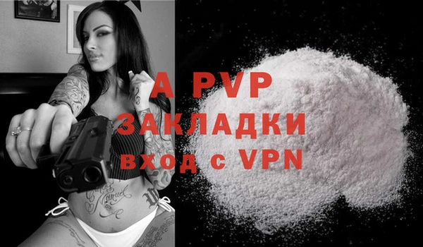 гидра Вязьма