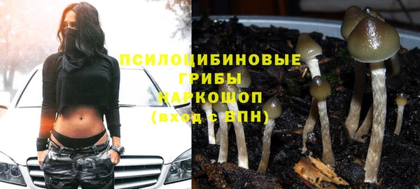 гидра Вязьма