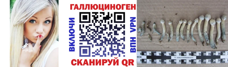 Купить закладки  Макарьев  Псилоцибиновые грибы мицелий 